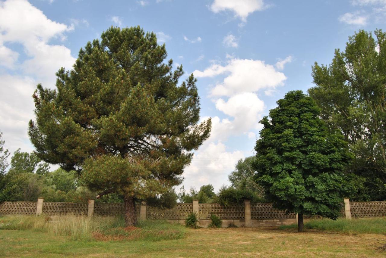 Finca Arroyo Del Valle San Andrés del Rabanedo Екстериор снимка